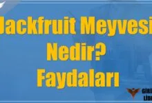 Jackfruit Meyvesi Nedir? Faydaları