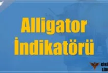 Alligator (Timsah) İndikatörü