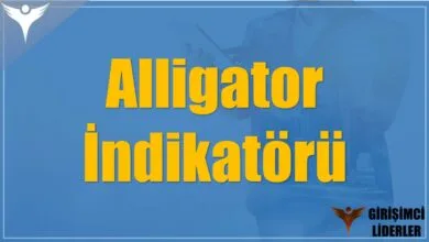 Alligator (Timsah) İndikatörü