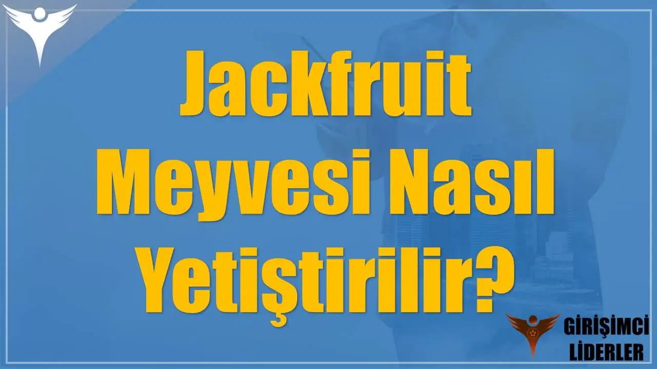 Jackfruit Meyvesi Nasıl Yetiştirilir?