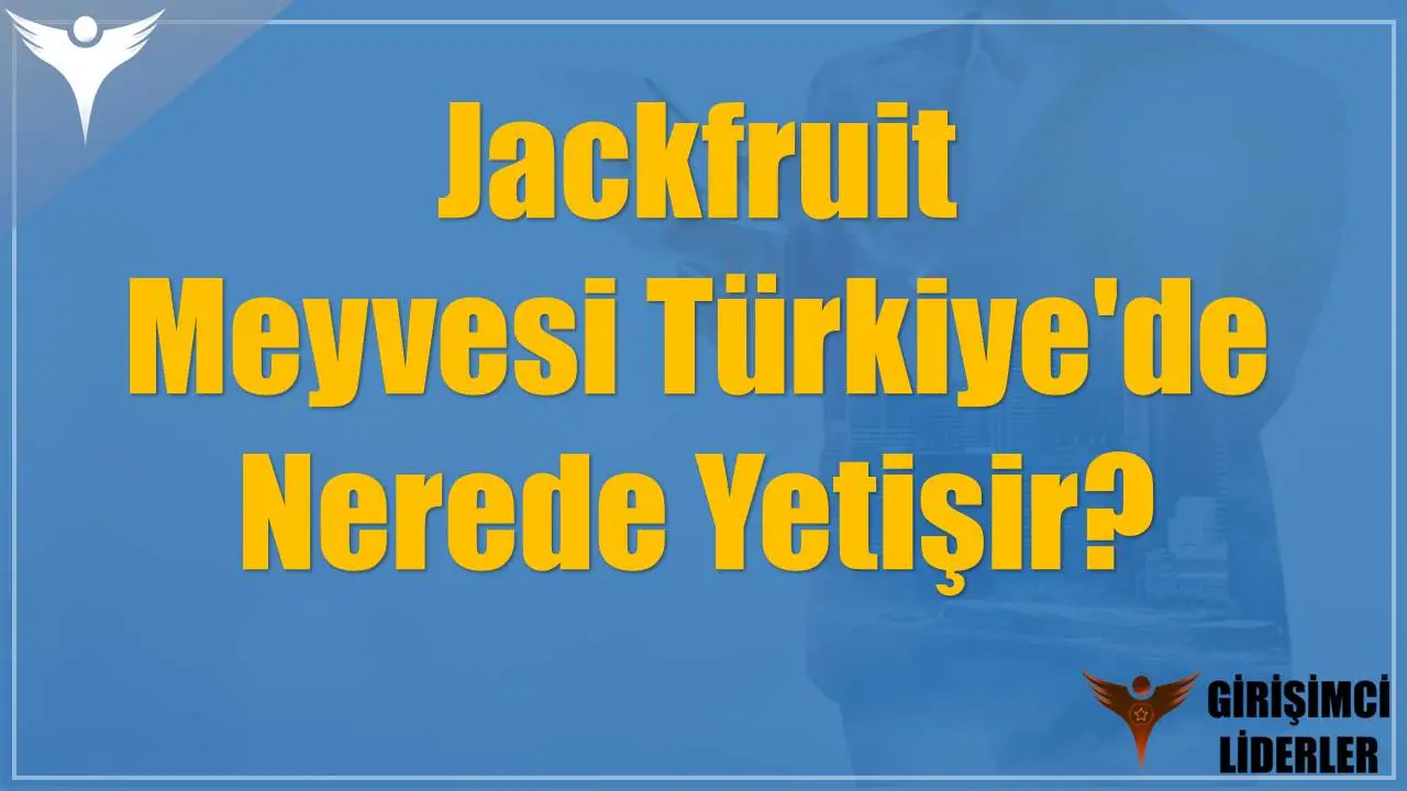 Jackfruit Meyvesi Türkiye'de Nerede Yetişir?