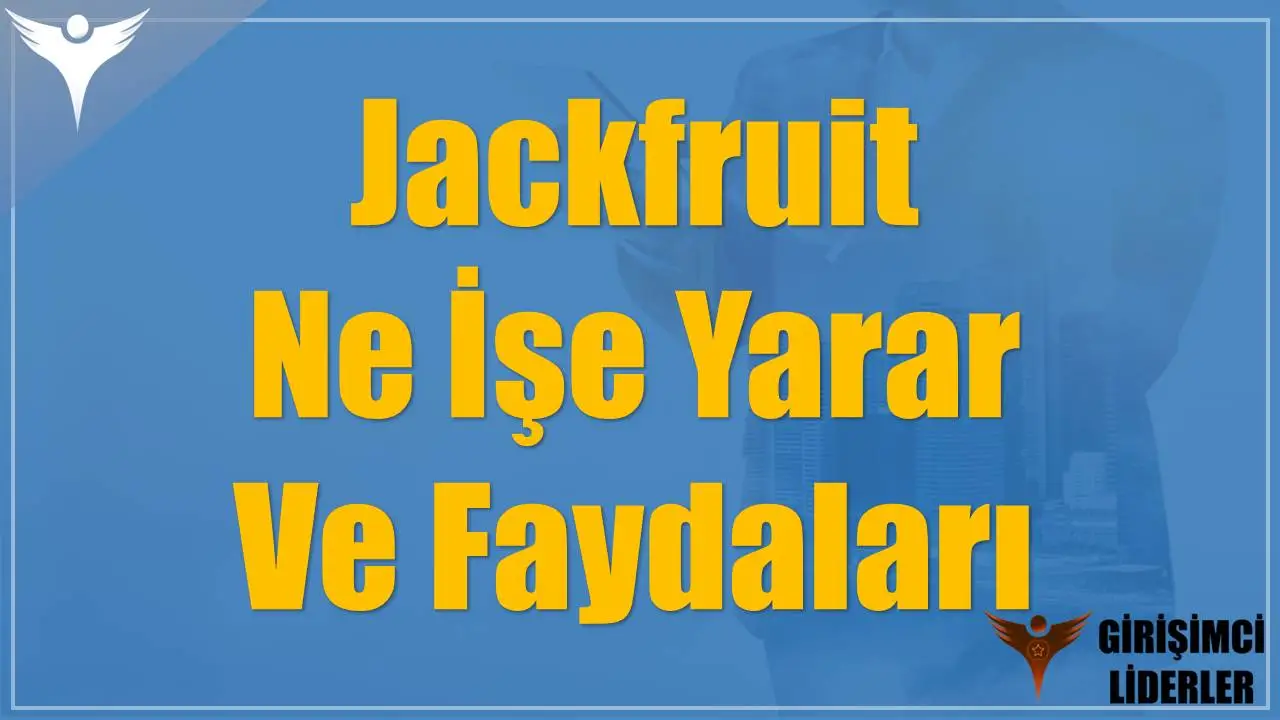 Jackfruit Ne İşe Yarar Ve Faydaları