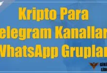 Kripto Para Telegram Kanalları, WhatsApp Grupları